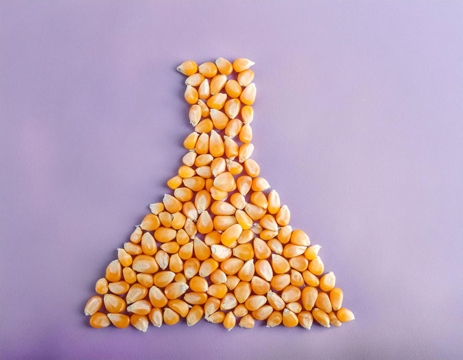 An artistic rendering of a laboratory flask made with corn kernels