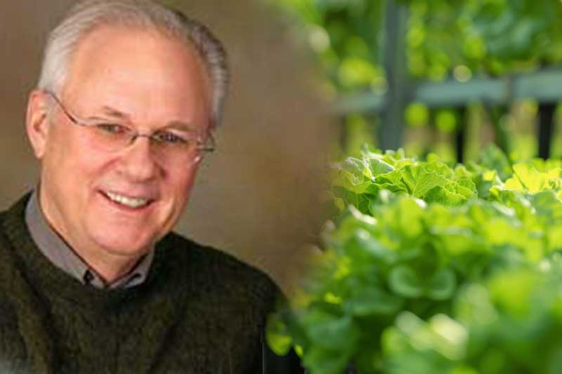 Photo of Walter Stark alongside greenhouse vegetables Photo of Walter Stark alongside greenhouse vegetables